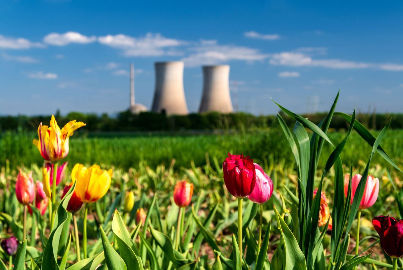 De stille kracht achter AI: beursgenoteerde elektriciteitsbedrijven in de spotlights